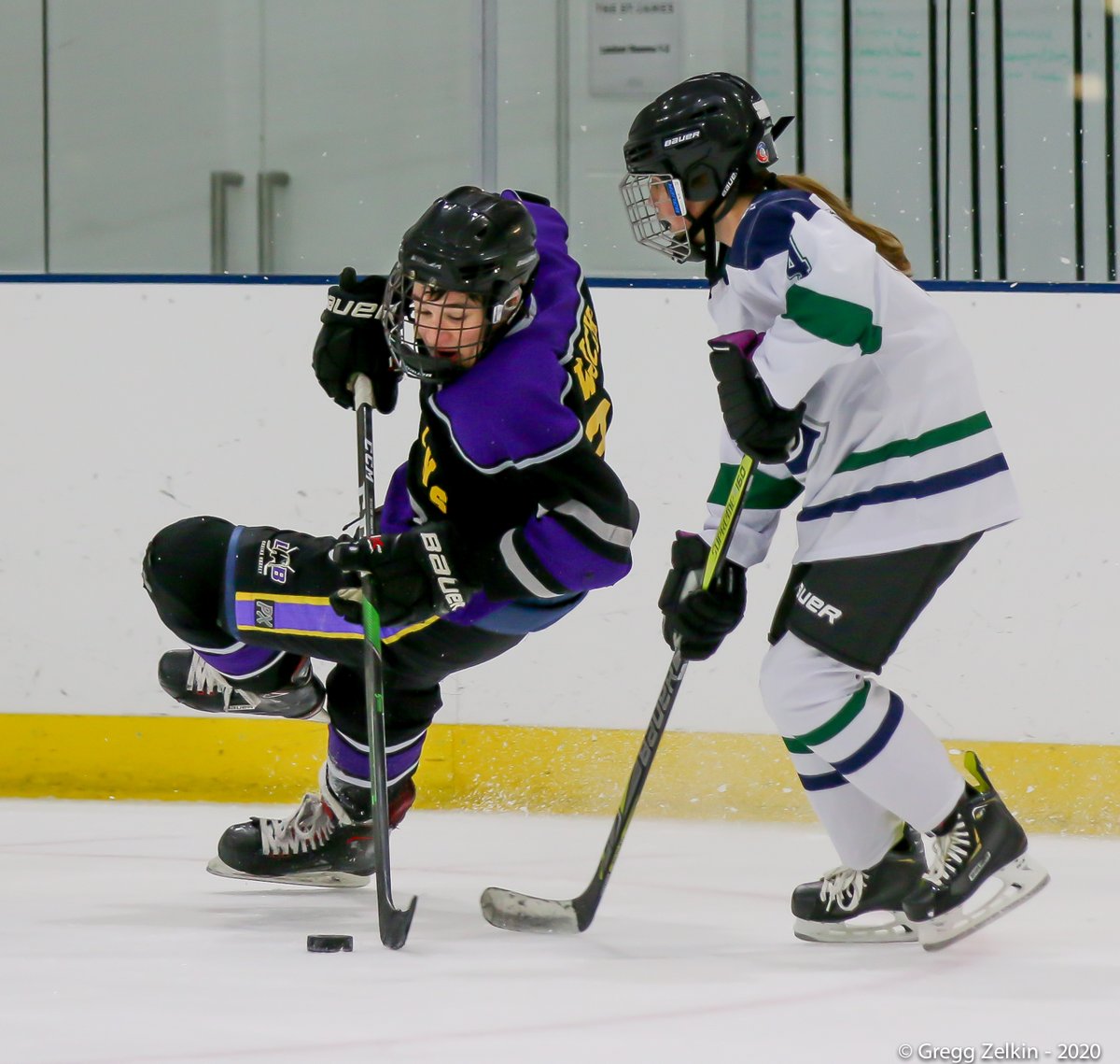 Bruin Nation Photos tweet media