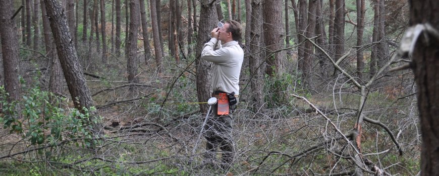 Door de bomen het bos zien dlvr.it/RN3tB0