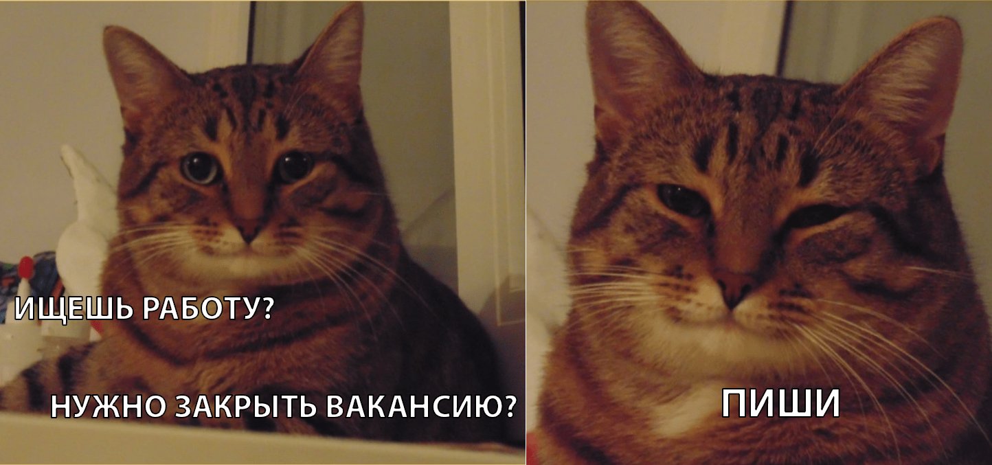 Кот улыбается Мем