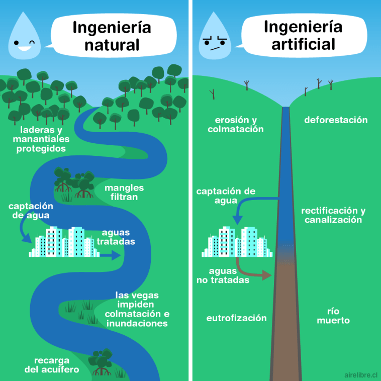 danielsenderos's tweet photo. La naturaleza nos da el diseño perfecto https://t.co/mx2BLjyS7o