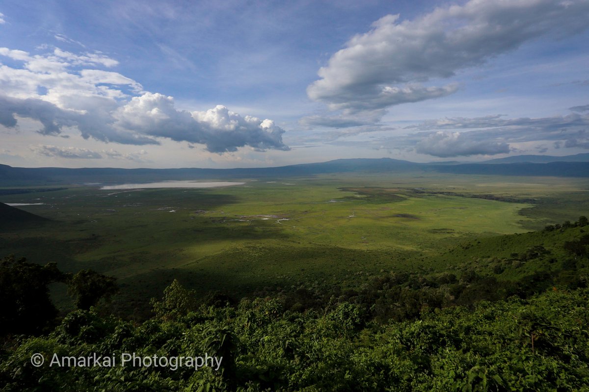 amarkaiphoto's tweet photo. In the Thai Solar Calendar, Wednesday is associated with the colour green.

Take yourself outdoors somewhere and let your mind be free.
---
#amarkaiphotography #photography #photooftheday #london #camera #dslr #canon #photographyislife #eyeem #flickr #tanzania #ngorongoro https://t.co/XoGN62q4TV