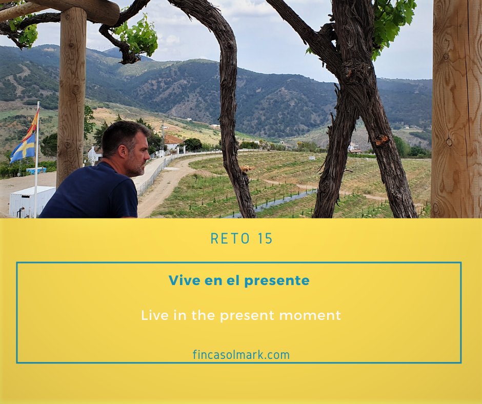 FSolmark's tweet photo. A veces vivimos en el pasado o planificando el futuro y nos olvidamos de vivir el momento presente. El objetivo del reto de hoy es incorporar el hábito de la atención plena en nuestra vida y aprender a disfrutar de esta práctica de forma continua. Vivir el ahora🙂🙌 https://t.co/kZLL7YsxK6