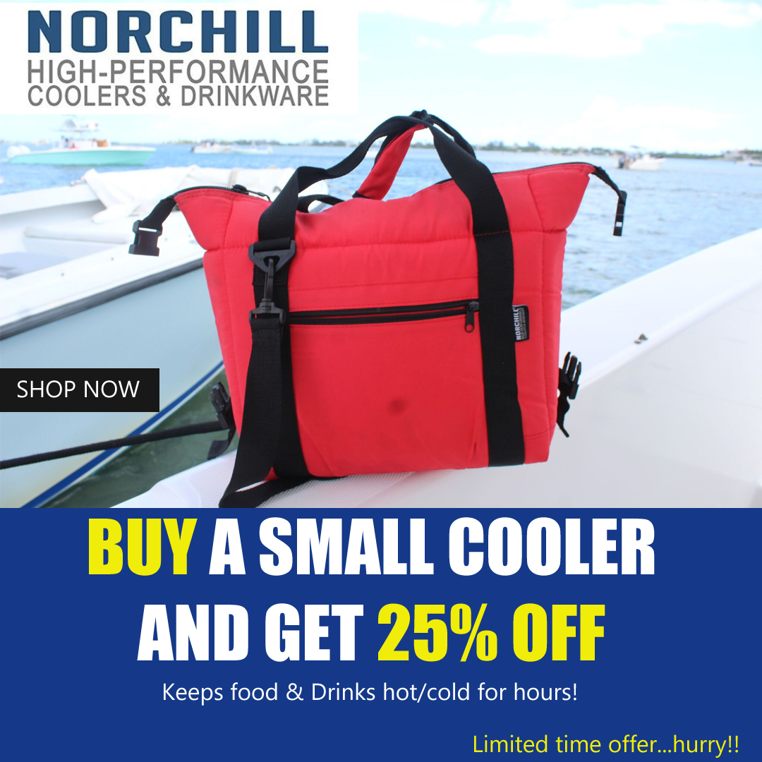 hot cold cooler bag