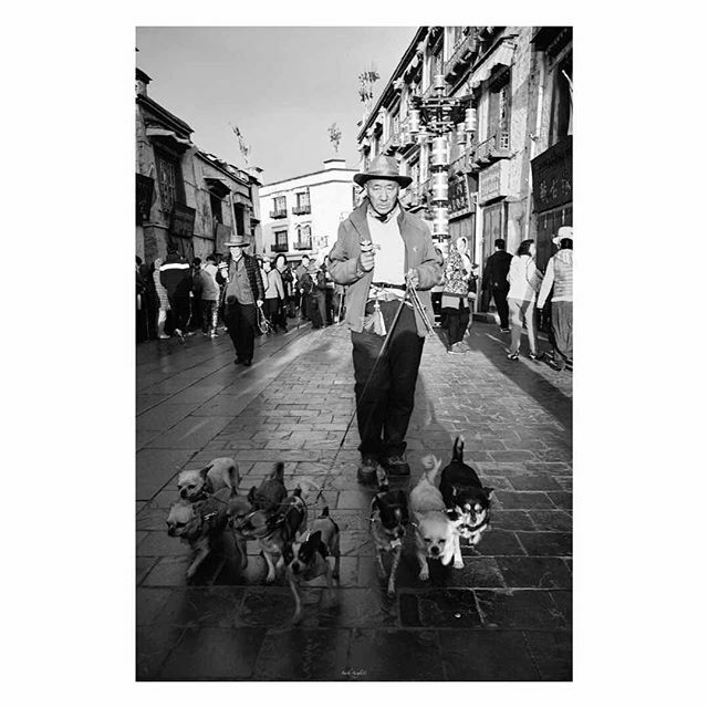 photo_by_FA's tweet photo. #Lhasa #Tibet •
•
•
•
•
#lensculture #hikaricreative #bnw #myfeatureshoot #monochrome #streetphoto #bw #lensculturestreets #streetphotographers #everybodystreet #leica #oftheafternoon #leicacamera #ifyouleave #burnmagazine #bnw_society #subjectiv… https://t.co/oFjvqsG6bZ https://t.co/tZTNz2zKWq