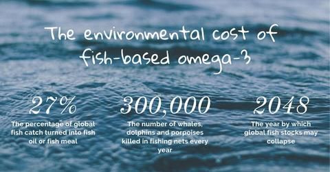 buff.ly/2QytzJc Read about Omega-3 in Algae vs Fish Oil #omega3 #nutrition #vegan