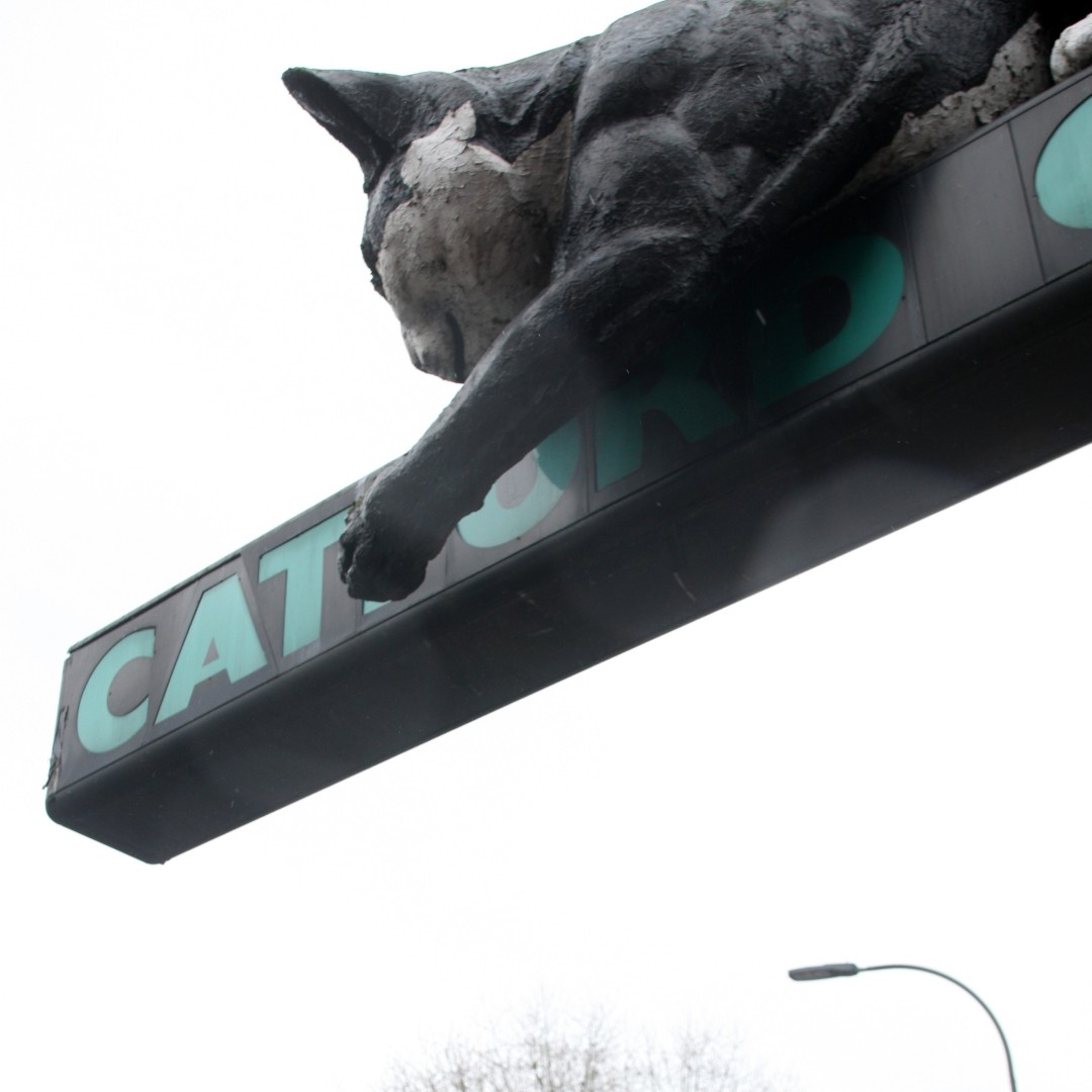 CatfordCurious's tweet photo. How did Catford get its name? (Hint: it's got nothing to do with cats!) #CatfordFacts #CatfordCurious #SE6 https://t.co/A3WGNhPvTz