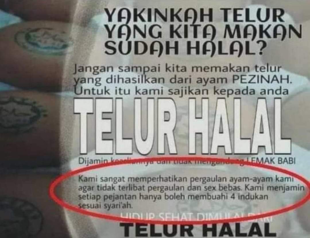 Mabok Dogma, Mabuk Agama kayak gini nih jadinya