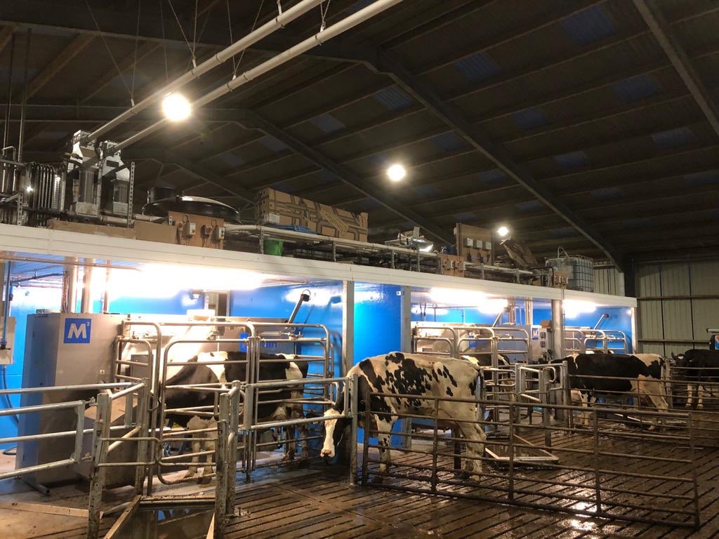 mccaskieneil's tweet image. We have lift off on this #M2erlin farm and it’s a family affair on start up day.  Lots of automation on this farm driving efficiency. @FullwoodPackoUK @FullwoodPackoIE @JOZ_NL @hoofcount @CollinsonAgri #teamdairy #onestopshop