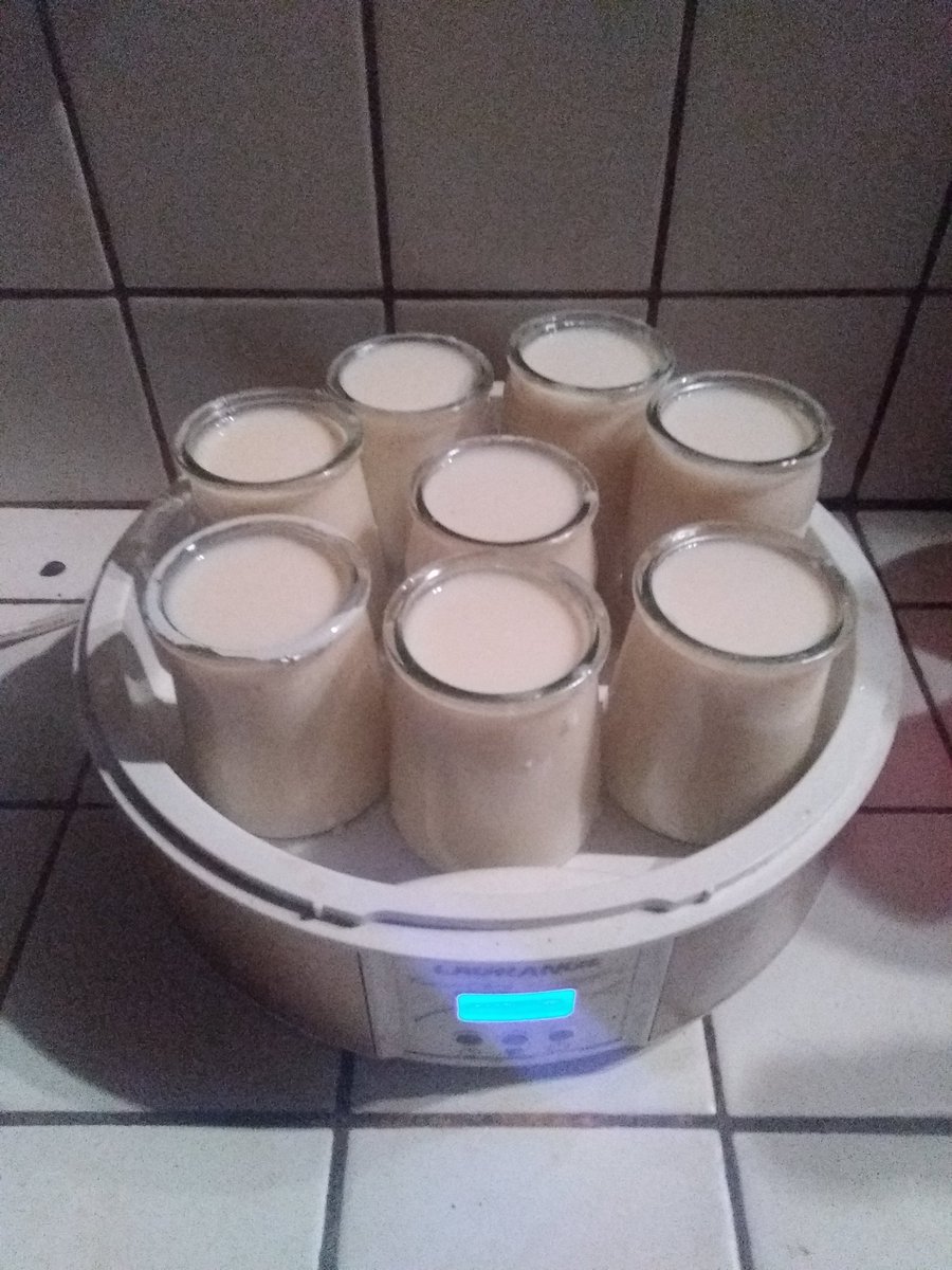 Yaourt au lait de mes vaches... ça prend 5 min et c'est tellement meilleur !
Vous devriez essayer...allez voir un éleveur, demandez lui gentiment un litre de lait et en plus vous allez apprendre plein de belles choses sur l'élevage 😜
#ceuxquifontlelait #montlait #compositive