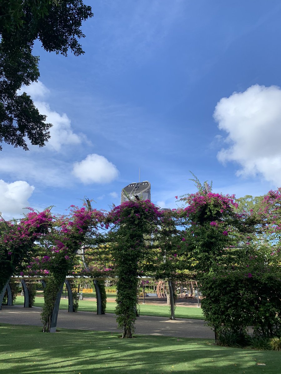 andyteodorczuk's tweet photo. Southbank Parklands looking beautiful today โ๏ธ ๐ธ Fantastic setting for #declared2020 https://t.co/993mRsPIe1 #Brisbane https://t.co/PxIudiIaKj