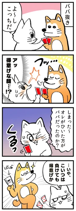 #とくいげいぬ とババ抜き!
 