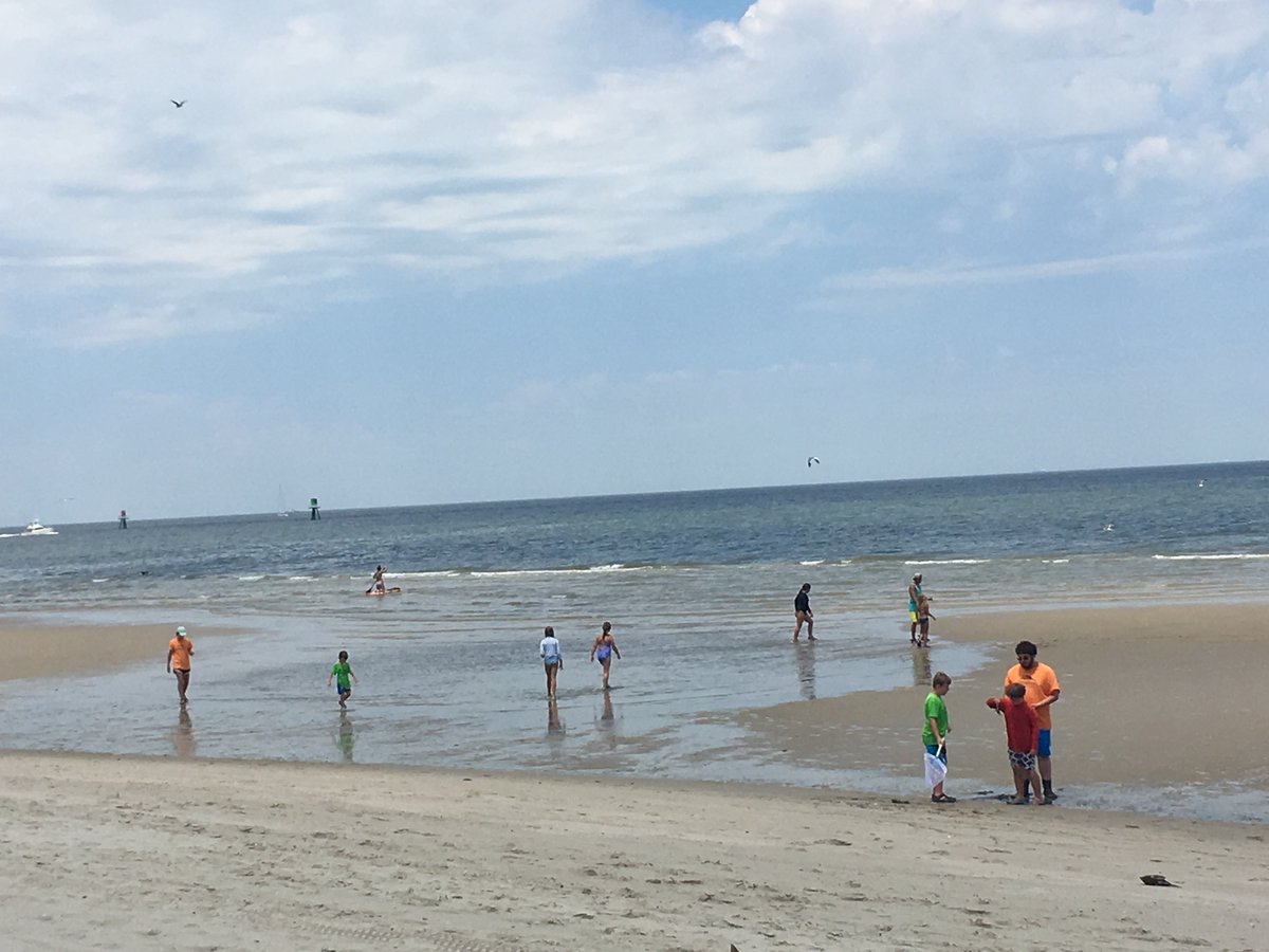 NewLogicEd's tweet photo. We are coming for you, Lewes, DE! 🗣️ Registration for the week of July 6 to July 10, 2020 is now open. Head to our website to sign up today! 🐟🐠🐡🐬🦈 https://t.co/8dOCP4HRvC #MSC #MSEE #newlogic #tidalthreads #Lewes #Delaware #openregistration #education #marinescience https://t.co/C0spBXKnKY