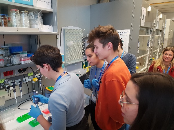 HMar_research's tweet image. Estudiants del @InsPereRibot han vingut a visitar-nos. Han pogut descobrir la nostra història, passejar per les instal·lacions i conèixer què són i per què serveixen els #Microarrays. Gràcies a tots i totes pel vostre interès en la ciència!!!@MARBiobanc
@the_prbb @hospitaldelmar