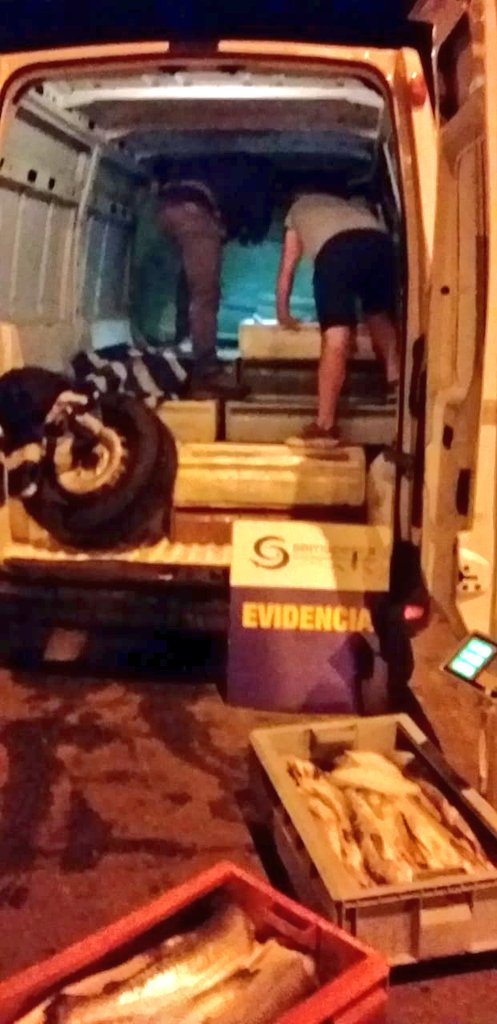 sernapesca's tweet photo. #LaLigua: Esta madrugada detectamos en control carretero un furgón con 252 kilos de salmón y 674 kilos de merluza austral sin acreditación de origen legal. Recurso fue incautado y estamos a la espera que @SaludSsrv determine si es apto para consumo (donación) o debe destruirse. https://t.co/hDvQrnknWo
