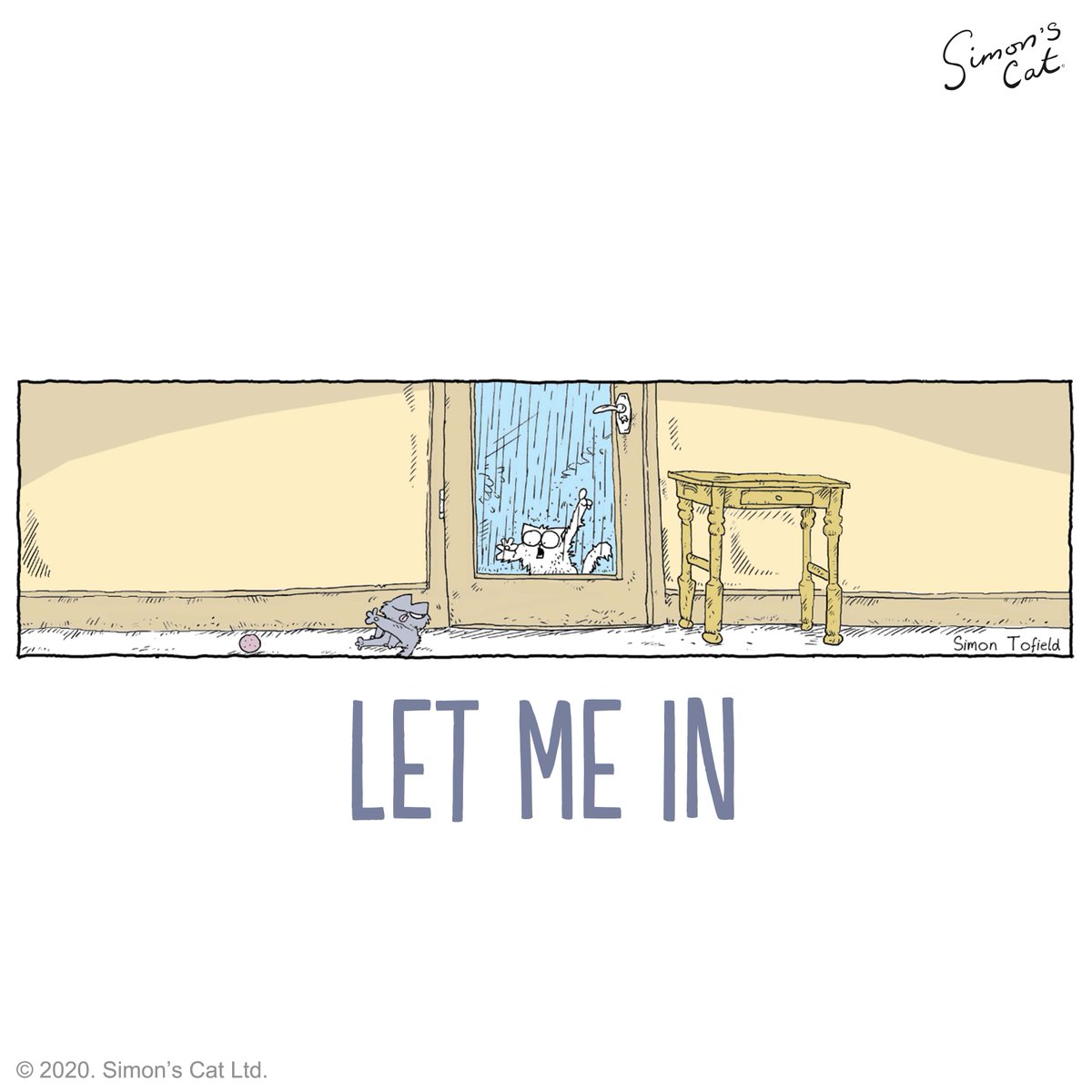 Simon's Cat 🐾 tweet media