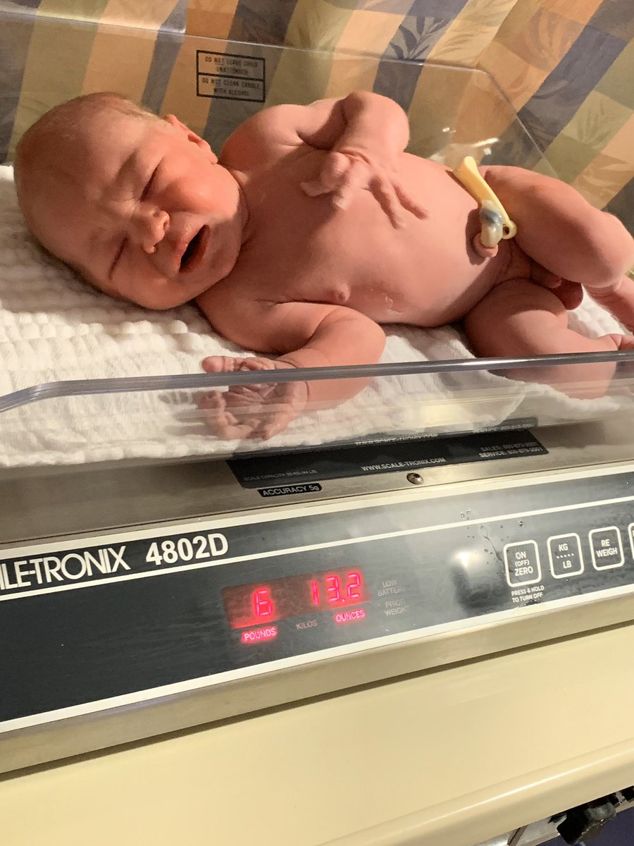 ljanson25's tweet photo. Can’t believe I gave birth to the most perfect little boy 🥺❤️ @HouzeJarod https://t.co/EmrvAjYNuW