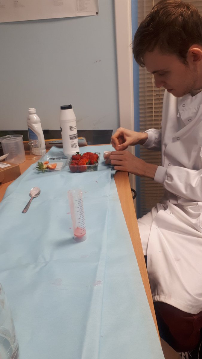 frozenark's tweet image. Practising our Strawberry DNA Extraction ready for @NottsFOSAC in a few weeks! Very messy but very fun. 

#FOSAC #curiousnotts