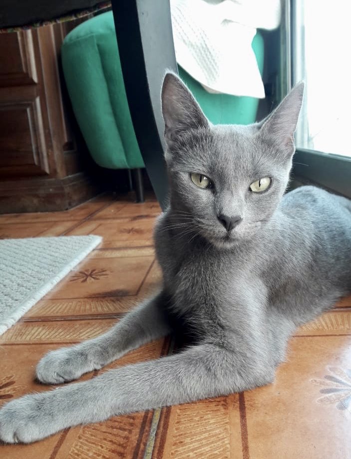 Red Bichera tweet media