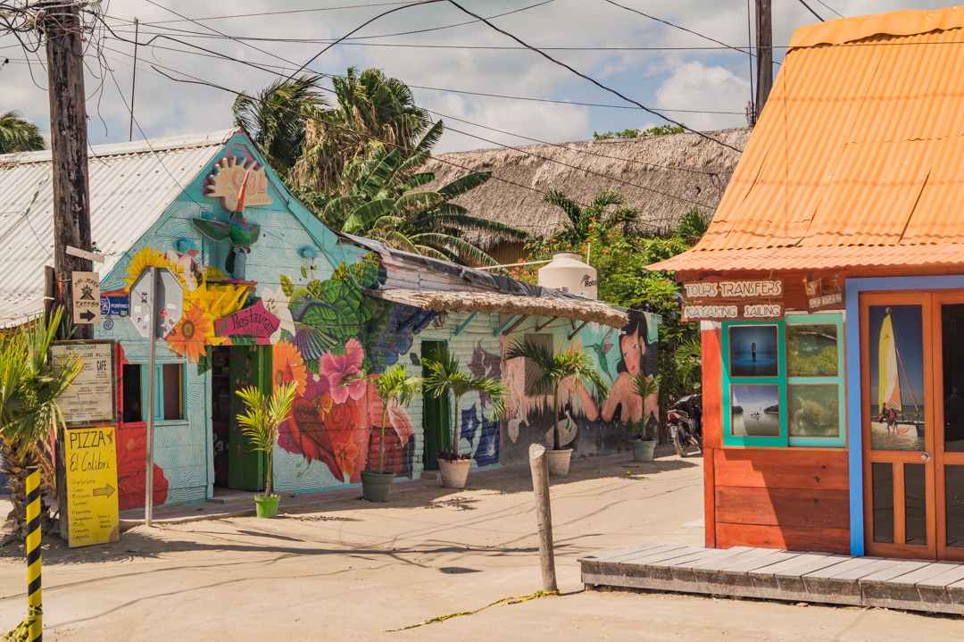 elholboxeno's tweet photo. #holbox #islaholbox #holboxisland #holboxmexico #iloveholbox #helloholbox #viajar #viajes #playa #islas #love #instagood #rivieramaya #paraiso #travelgram #mexico #tropical #vivamexico #vivalavida #mexicodesconocido #travel #mustseeplaces #mustvisit #travelersnotebook #caribe https://t.co/lG6JQRCCkC