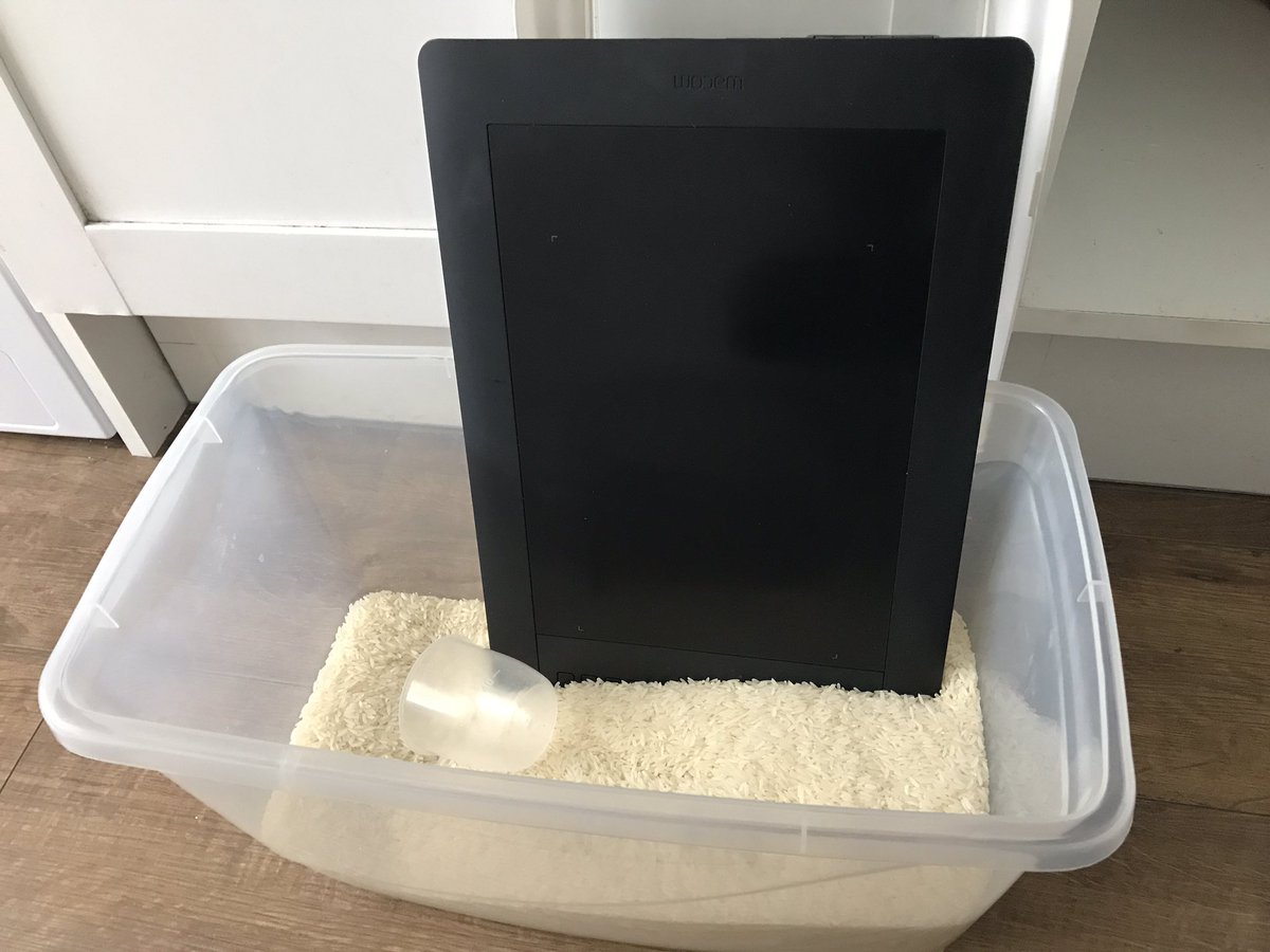 LanternStudio_'s tweet photo. My cat just tip the glass and spill the water all over my tablet, today it has to stay in the rice for drying.🌬 #indiedev #workwithcat https://t.co/KxaDQqnFgb