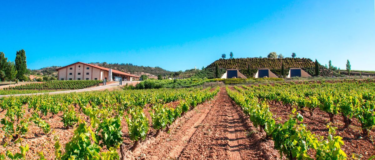 FCPWINES tweet media