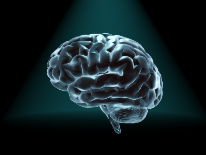 JonathanFanClb's tweet photo. “People can get their brains back!” - Healing from Dementia - https://t.co/CC6yNsgcn6
#Filmmaker
#Journalist
#Humanitarian
#JonathanOtto
#JonathanOttoReviews https://t.co/0WqltWsSTs