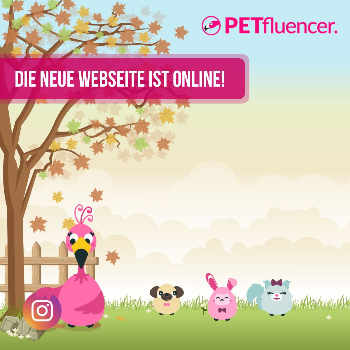 Relaunch Petfluencer.com - mailchi.mp/75a000dd6b0a/r…