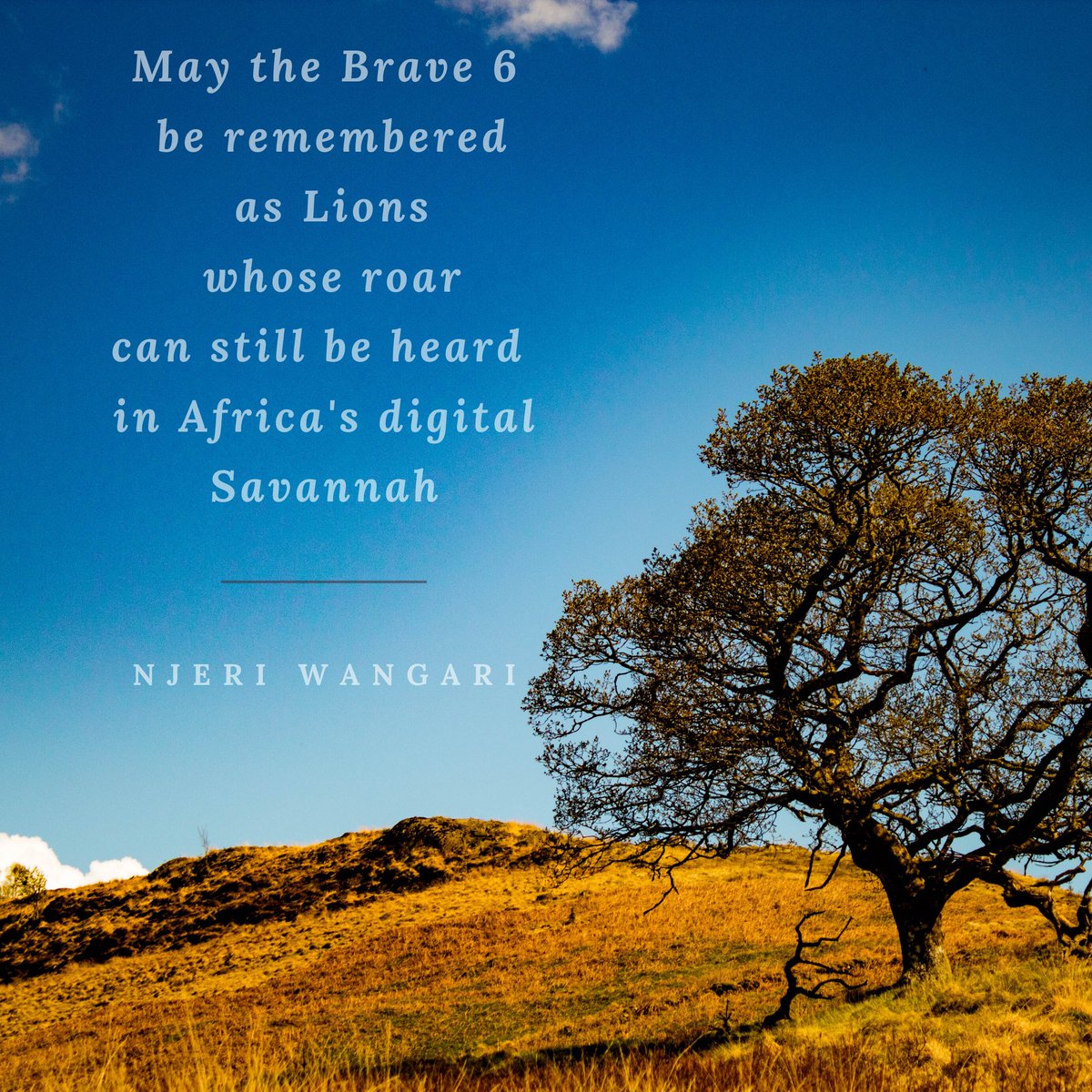 Kenyanpoet's tweet photo. May the Brave 6
be remembered
as Lions
whose roar
can still be heard
in Africa's digital Savannah
~ Njeri Wangari~
#CellulantBrave6 #CellulantNow https://t.co/BtOTCDxYx6