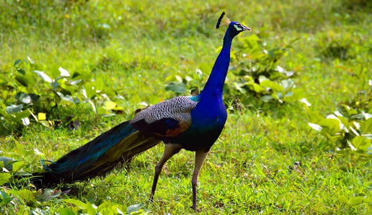 PravinVlog's tweet photo. #Travel #India #Photography #VisitIndia #Tourism #Tour2020 #Tourist #Bharat https://t.co/xVQLFnqCJZ