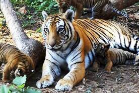 PravinVlog's tweet photo. #Travel #India #Photography #VisitIndia #Tourism #Tour2020 #Tourist #Bharat https://t.co/BTM2w0QwVq
