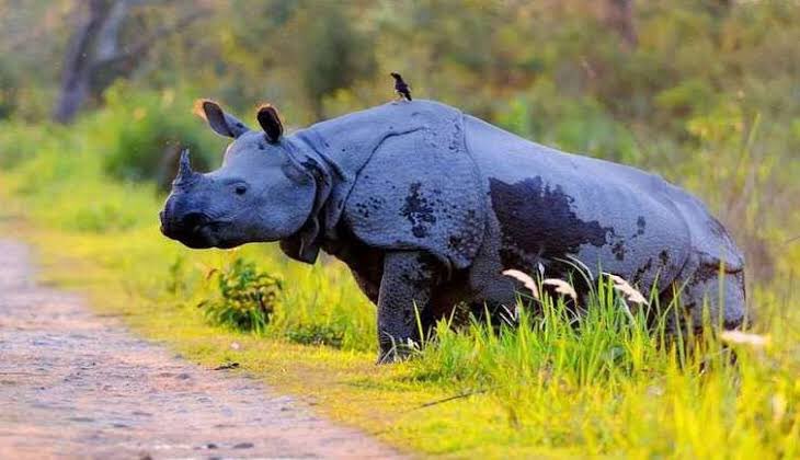 PravinVlog's tweet photo. #Travel #India #Photography #VisitIndia #Tourism #Tour2020 #Tourist #Bharat https://t.co/0dGZAf67Pq