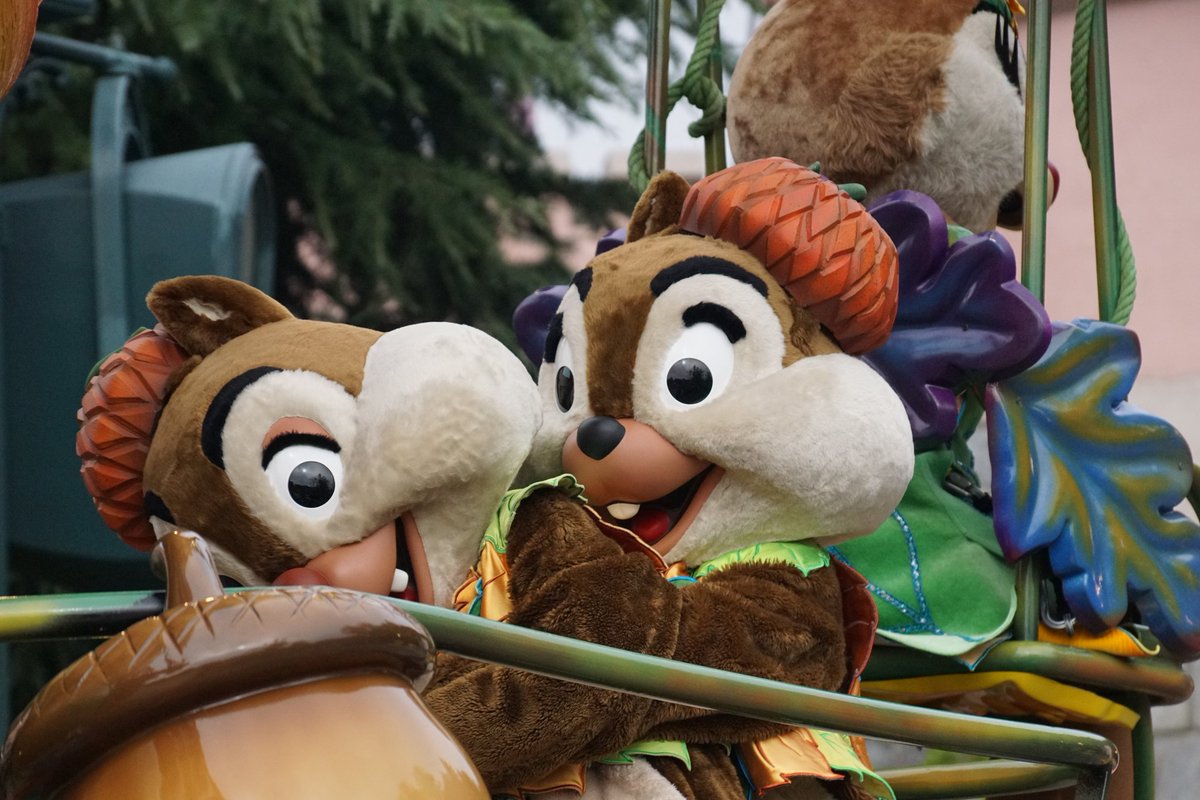 joyceadventures's tweet photo. This was so cute🥰❤❤ #chipndale #chipanddale #chip #chipdisney #dale #daledisney #disneychipmunks #chipmunks #somuchlove #disneyland #disneyphoto #disneylandparis #disneyparks #disneylandpark #disney #disneylife #disneylove
#mickeyshalloweencelebration
#disneyparade https://t.co/7Gud4OA5oP