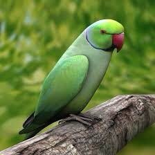 PravinVlog's tweet photo. #Travel #India #Photography #VisitIndia #Tourism #Tour2020 #Tourist #Bharat https://t.co/hmyu0gRhGK