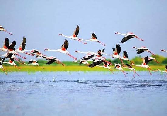 PravinVlog's tweet photo. #Travel #India #Photography #VisitIndia #Tourism #Tour2020 #Tourist #Bharat https://t.co/1C1K5HIwaC