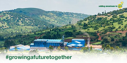 From the lush green highlands of Transmara and its surroundings, to shelves near you. #growingafuturetogether
