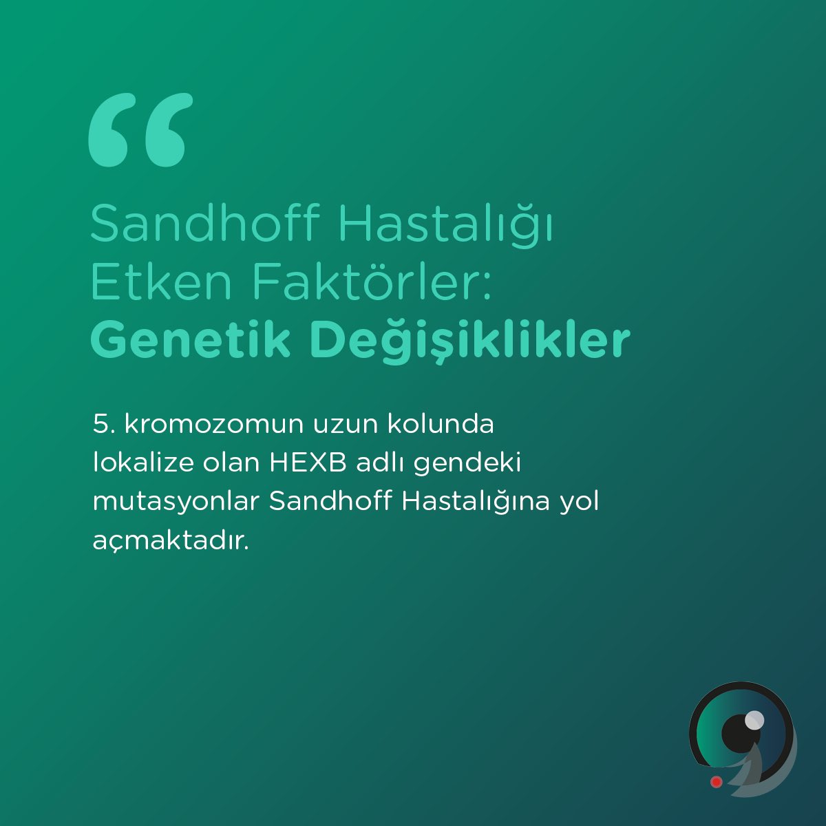 taysachsandhoff's tweet photo. #NeTaşıdığınızıBiliyorMusunuz ? https://t.co/MXY9veV7H3