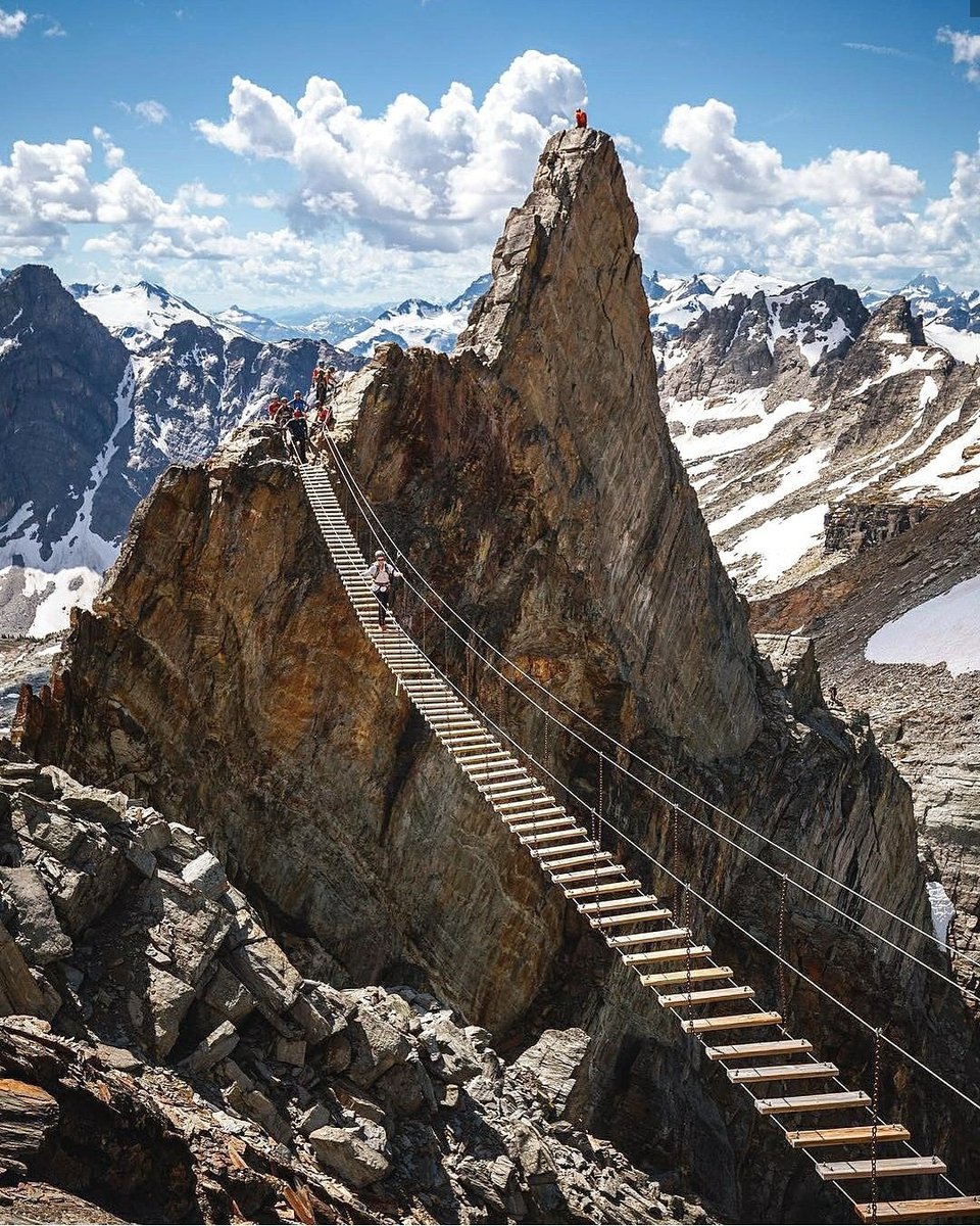 inc_memories's tweet photo. Would you do it?
Purcell Mountains, British Columbia, Canada
📷@taylormichaelburk
Fact - In the Purcell Mountains, most of the peaks are near or above 10,000 feet in elevation.
#travel #canada #britishcolumbia #traveling #love2travel #travelagent https://t.co/qWmdsItmCO