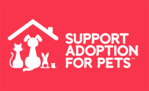 petsfdtnuk's tweet photo. We have another very exciting grant meeting today, where we'll be giving away some of our first grants of the year! Stay tuned to see the announcements. 

#PetRescue #Charity https://t.co/IbzBgL81Px