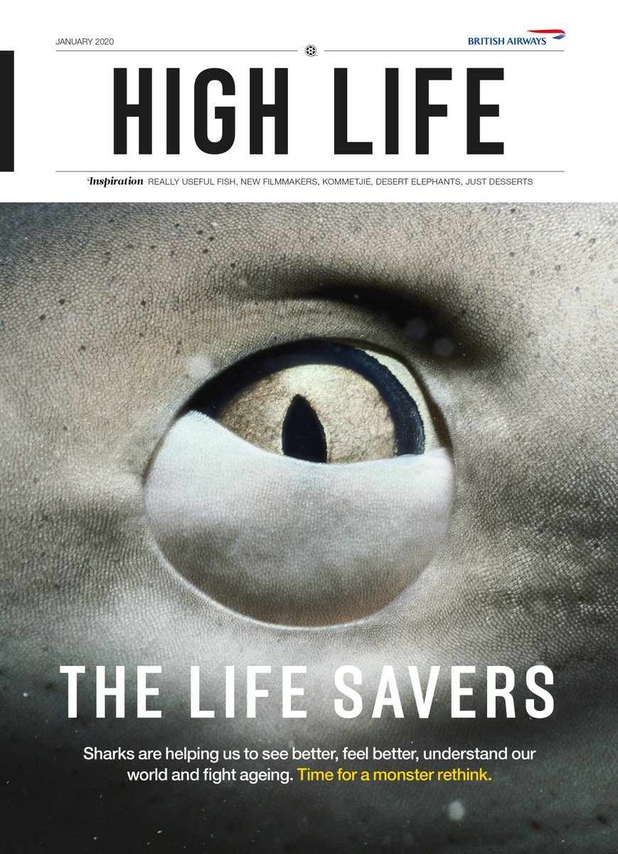 MoffieFilm's tweet photo. .@MOFFIEfilm is also featured in this month’s #HighLifeMagazine. Get yours if you’re flying @British_Airways or heading through the SLOW Lounge. @cedarcontent https://t.co/VrI9xWsM0U