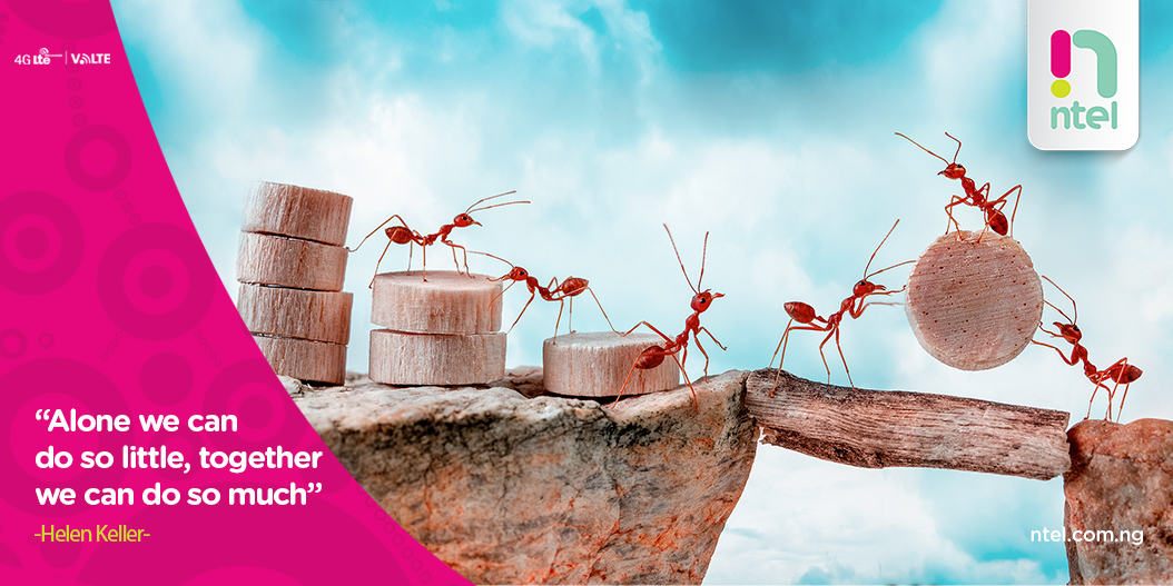 ntelng's tweet image. Teamwork divides the task and multiplies the success.
#WednesdayMotivation