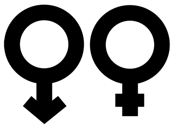 skullyandwolf's tweet photo. Diversity isn't a trend. Support will continue to argue for the values we hold dear – facts, science, diversity, equality and fairness. We as a brand remain steadfast ‘jus hang’… s+w

#jushang #diversity #equality 

https://t.co/sQsPvW4Ix2 https://t.co/e8vLX69y1M