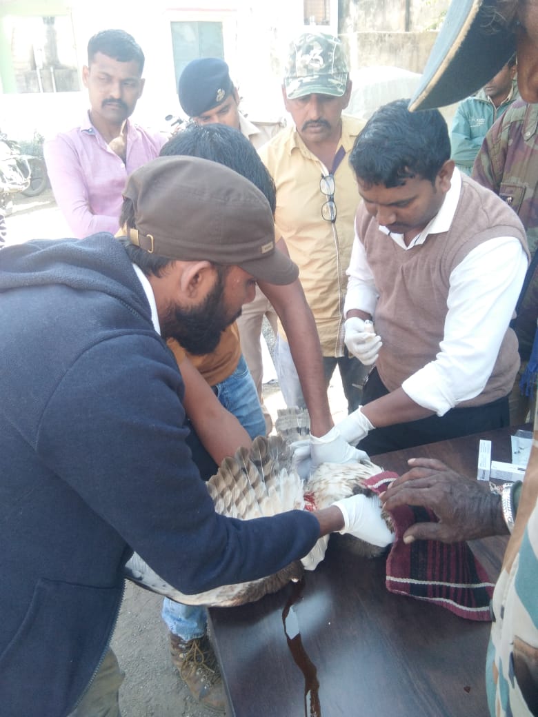 DCFBotadSF's tweet photo. #KarunaAbhiyan2020
#SaveBird
સામાજિક વનીકરણ રેન્જ તળાજા દ્વારા પક્ષીનુ રેસ્ક્યુ કરવામાં આવ્યું. 
#DCFBotadSF

@CircleRajkot @drrajivguptaias @HoffPccf @CMOGuj https://t.co/ghifUzc2zi