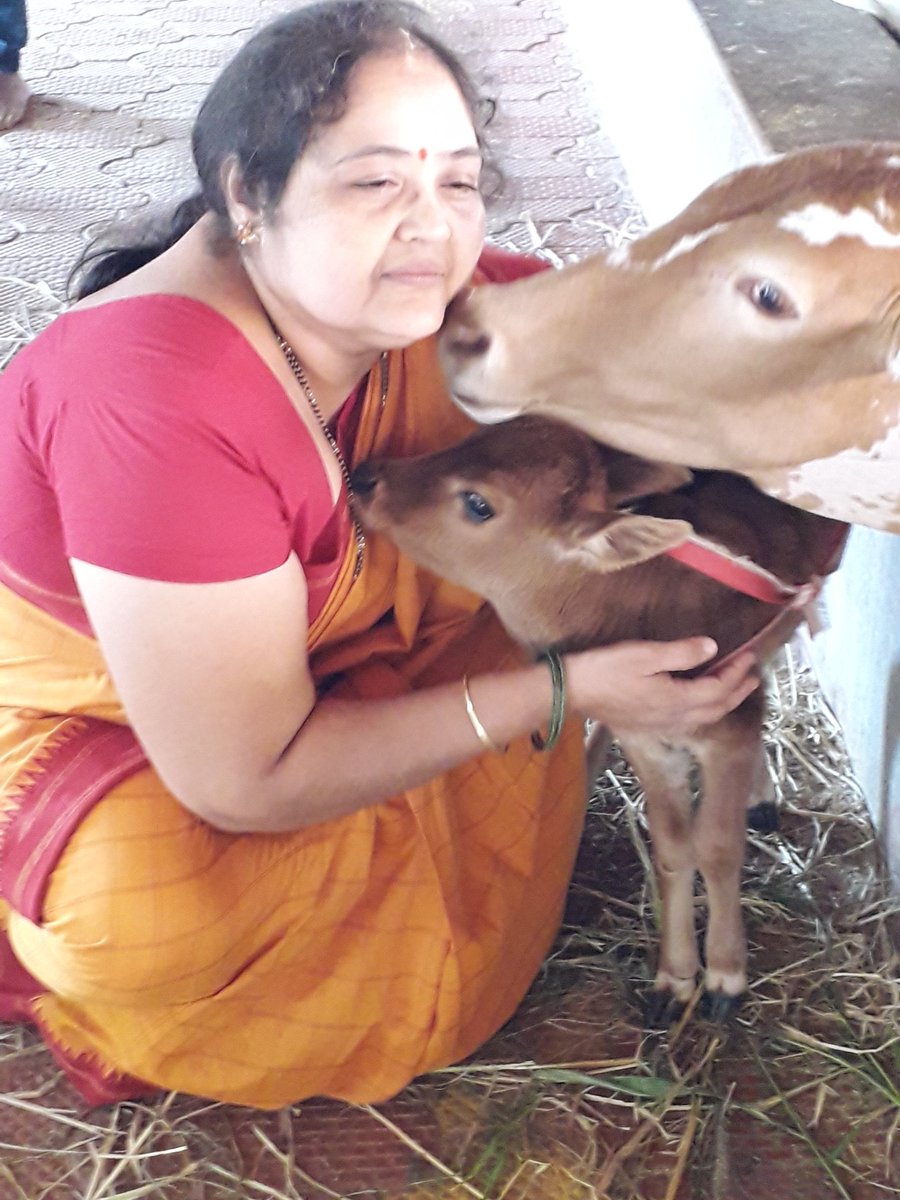 RMullunja's tweet image. Hareraama...
@GouSwarga 
#MeWithMaa 
#Sankranthi2020