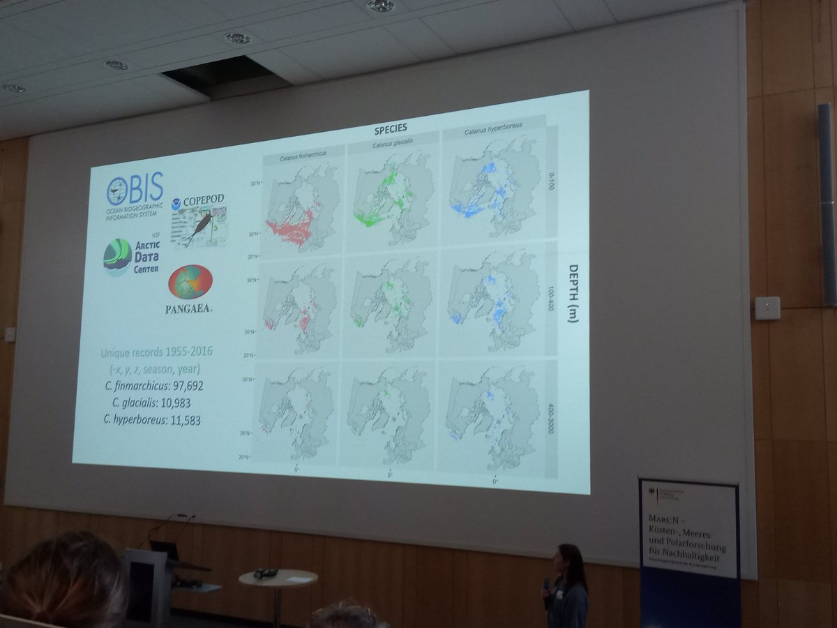 CobainMat's tweet image. Instead of a complex acronym, it's an elegant contraction updating us now @NERC_CAO #Diapod: huge collation of calanus copepod records (over 100,000) are helping to understand their interaction with diatoms and the environment and modelling distributions! #CAOPotsdam