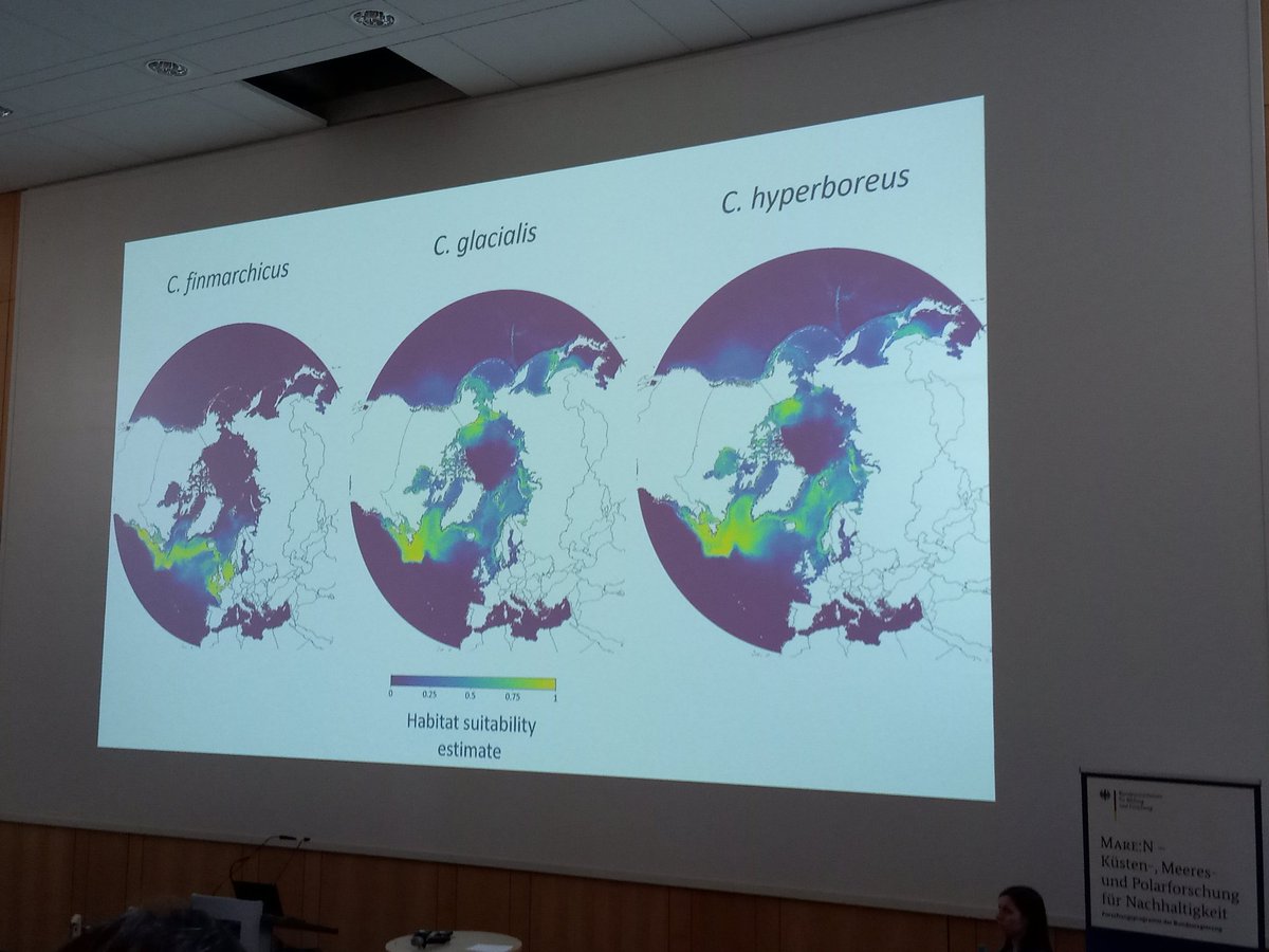 CobainMat's tweet image. Instead of a complex acronym, it's an elegant contraction updating us now @NERC_CAO #Diapod: huge collation of calanus copepod records (over 100,000) are helping to understand their interaction with diatoms and the environment and modelling distributions! #CAOPotsdam