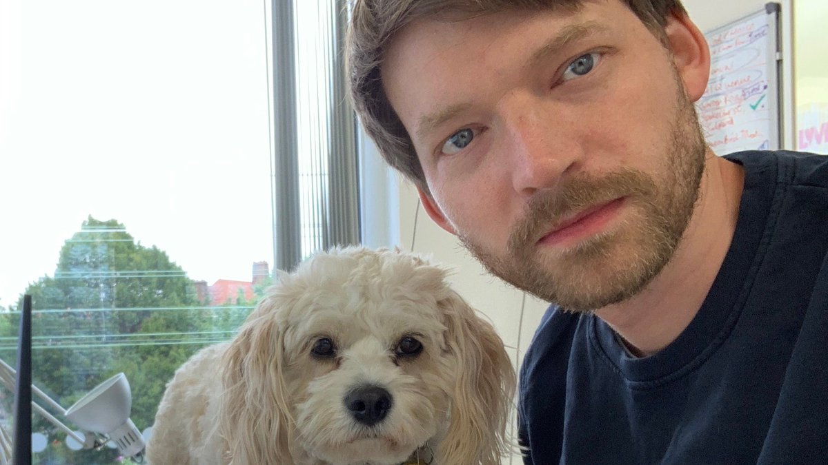 AllDogsMatter's tweet image. A huge thanks to Jonny and the lovely team at @tickettailor (incl ex ADM pup and office dog Alfie!) for donating an amazing £500 to us as part of their Christmas charity giveaway. You guys are pawsome🐾♥️ #fundraiser #AdoptDontShop