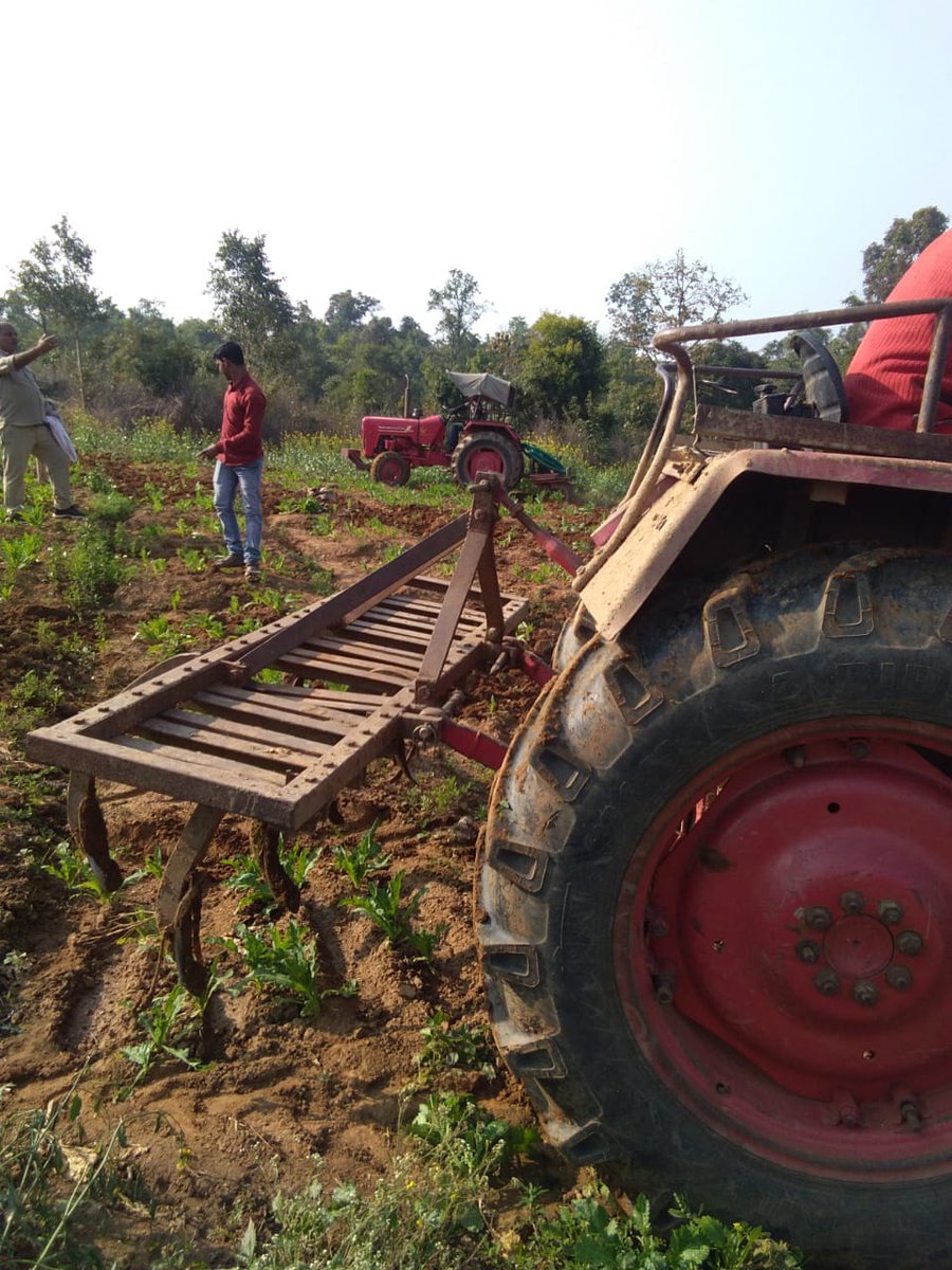 DFO_ChatraNorth's tweet photo. Today 30 acres of opium cultivation destroyed in baniadeeh pf of Hunterganj range under Chatra north division @ifskalikinker with collaboration with @chatrapolice
@ForestJharkhand  @moefcc @JharkhandCMO https://t.co/G4VofOoppB