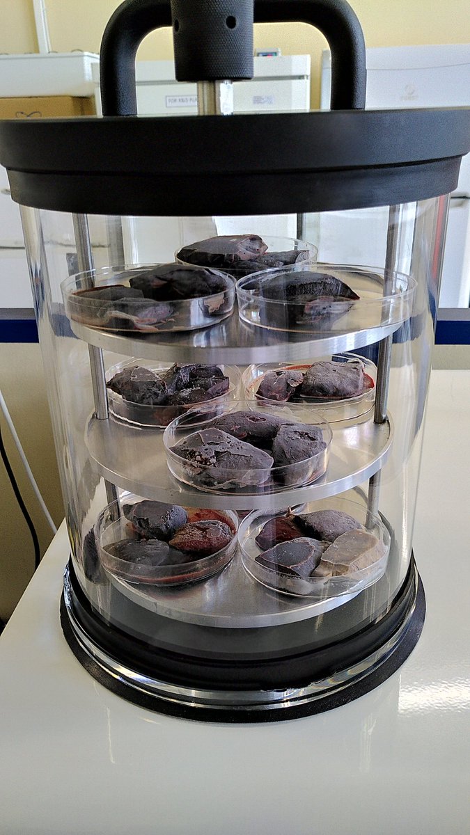 LIFEAPEX1's tweet photo. Seal samples from the German coast have arrived at @ThomaidisLab for lyophilisation and analysis using state of the art analytical methods. The samples range back 18 years and will be used for time trend analysis of #emergingcontaminants.
#lifeapex #apexpredators #biomonitoring https://t.co/e4gef17uEq