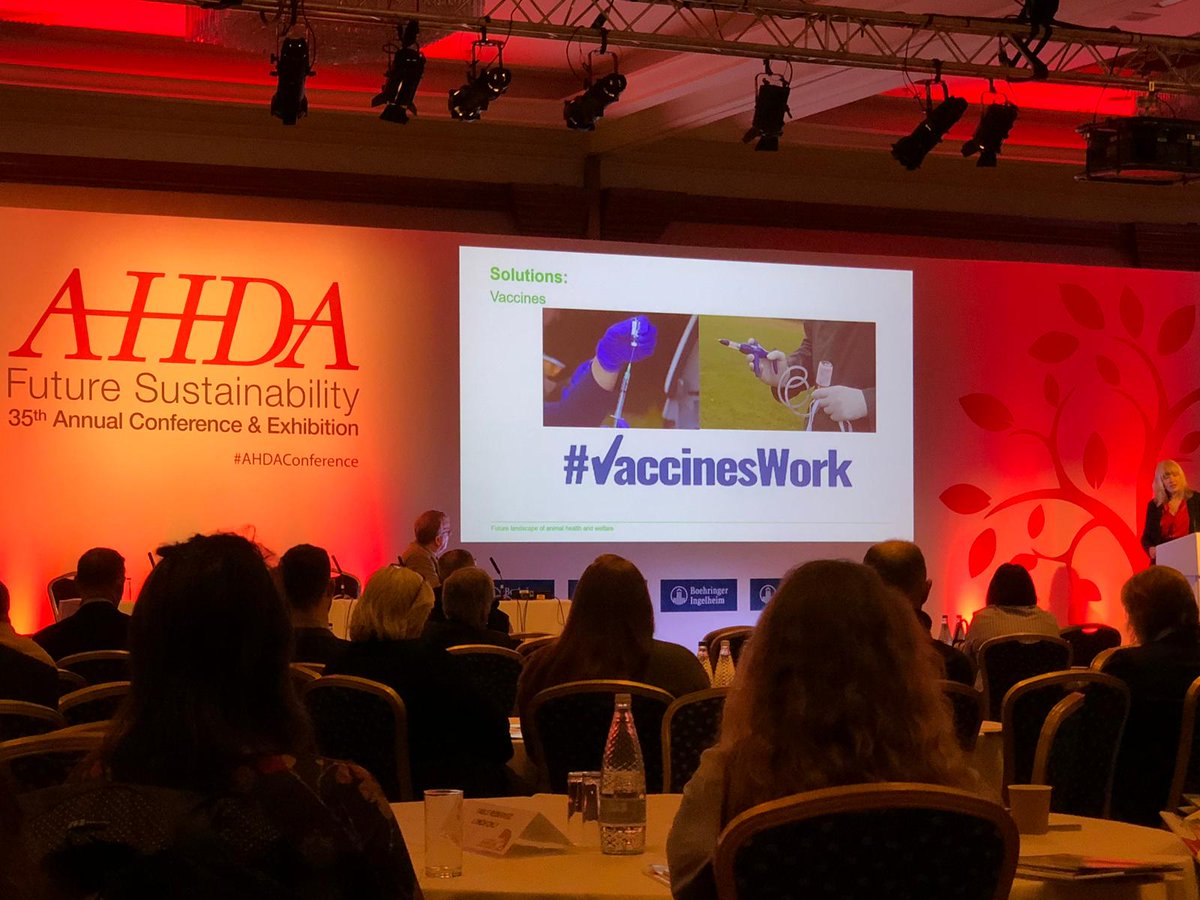 noblefutures's tweet photo. We're here at the AHDA Conference and are thoroughly enjoying it so far! Fantastic opening talk by @ChiefVetUK, with plenty more to come. Do come and see us to see how we could help make your career dreams a reality! #ahdaconference #noblefutures #recruitment #animalhealth https://t.co/VUAf5yYY4u