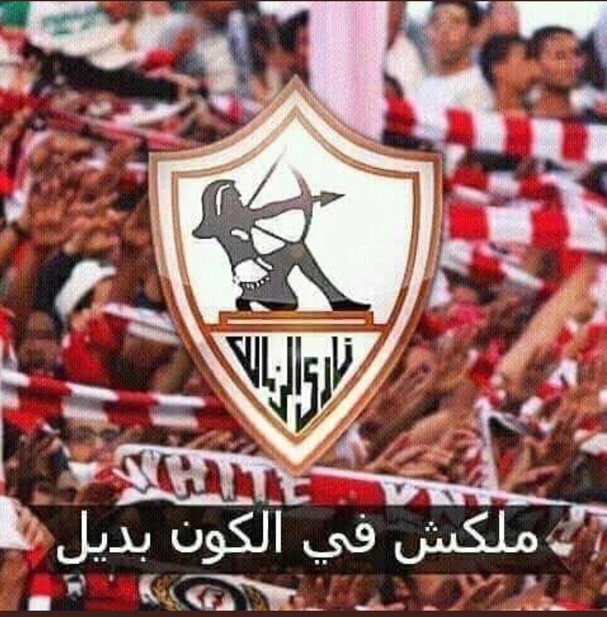 🇦🇹oum Ali.🇦🇹 (@hotm6s) on Twitter photo 